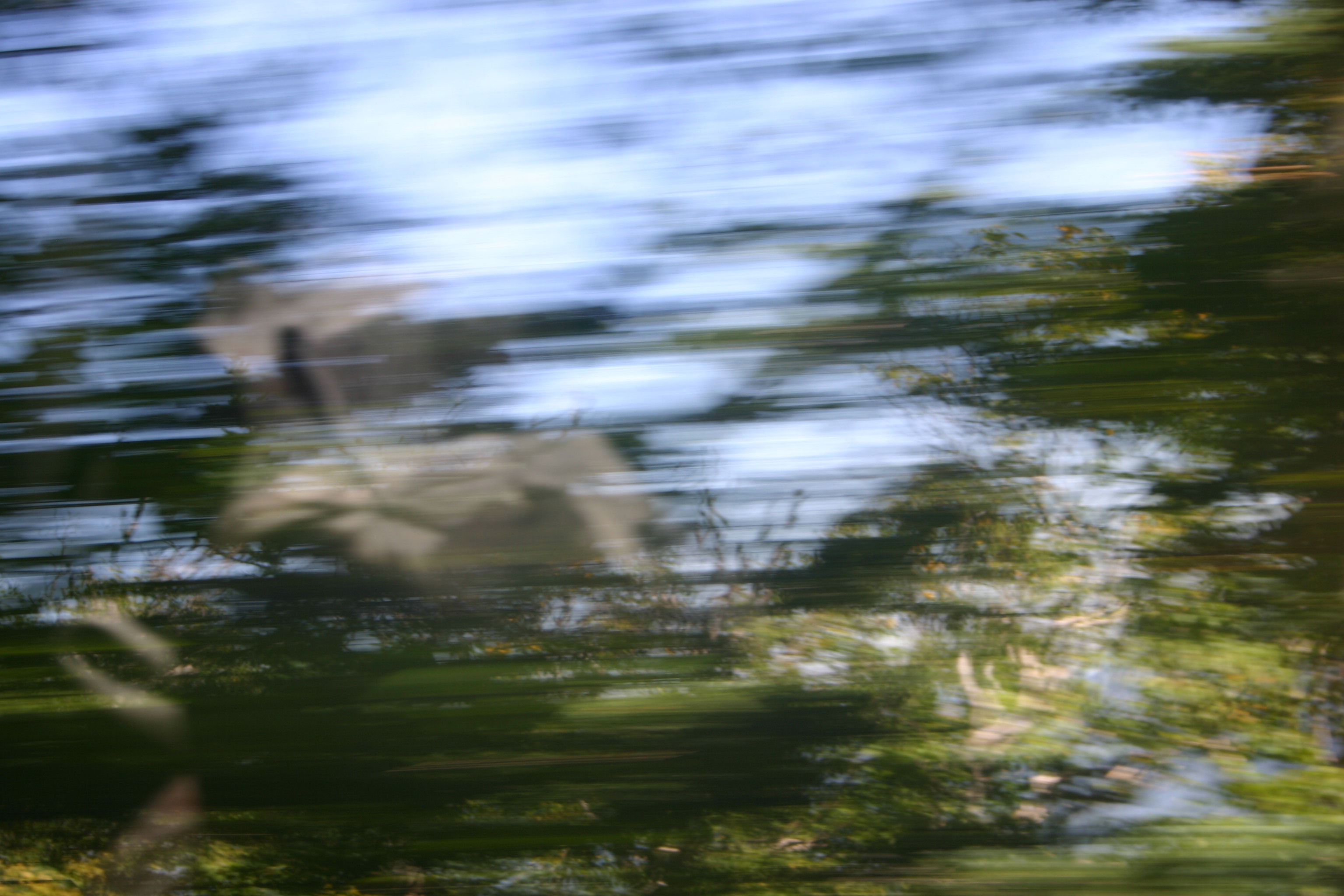 picture 8.